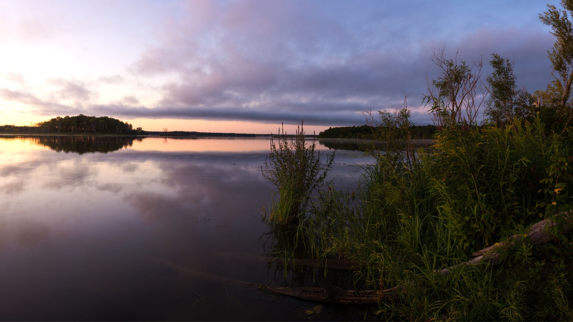 Wetland at sunset in Duluth area.